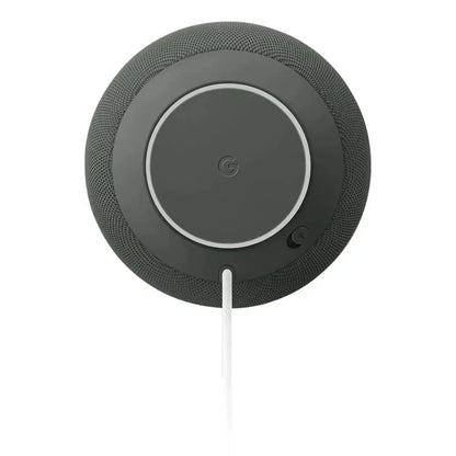 Google Home Speaker with Gemini